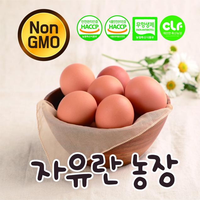 (자유란)NON-GMO 유정란 40알_난각번호2번_자유란농장7929