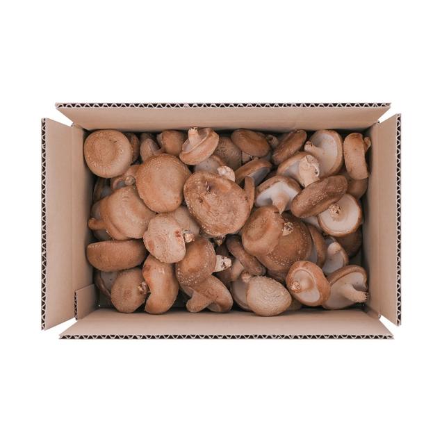 (도담) 황토골 산지직송 자연지 주는 도담 못난이 표고버섯 1kg(P)6300