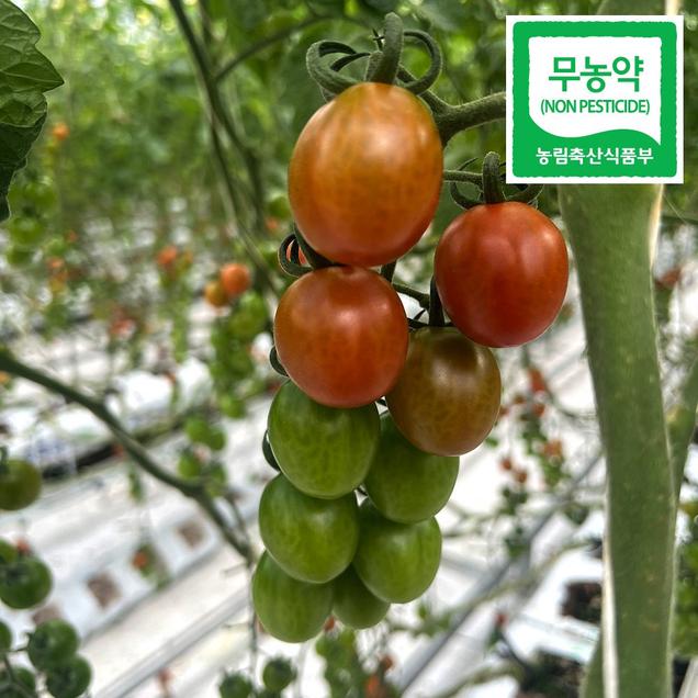 (그린스마일)친환경 무농약 대추 방울 토마토(2kg/5kg)16651