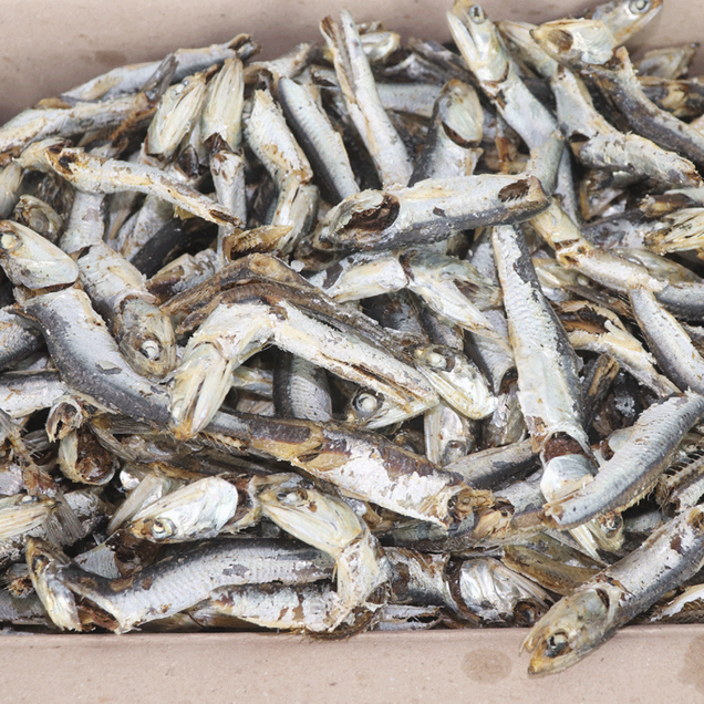 (금성상회)실속 대멸치 1.5kg17841