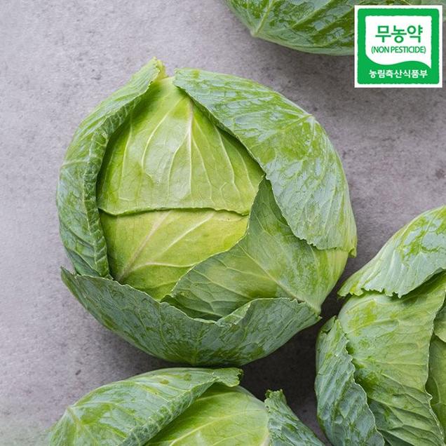 (더디오) 아삭아삭 달달한 황토밭 맛있는 친환경 무농약 양배추 5887