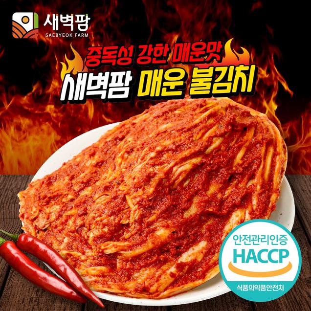 (새벽팜) 2023 김치품평회 대상 새벽팜 전라도김치 국산 매운불김치 실비김치 매운김치(1kg/1.5kg/2kg)3568
