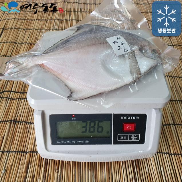 (여수동동식품)손질 여수 특대병어 300g 이상 1마리 100%국내산 (와사비 믹스 간장 증정(28cm 내외)5692