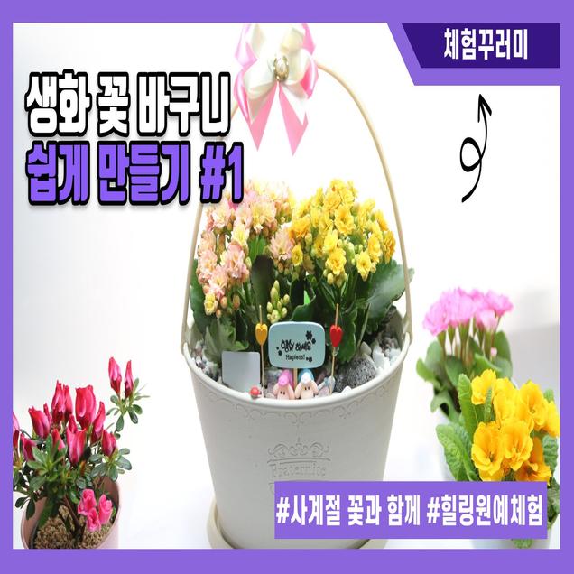 (힐링가든휴)힐링가든휴 꽃바구니 키우기 체험세트17241