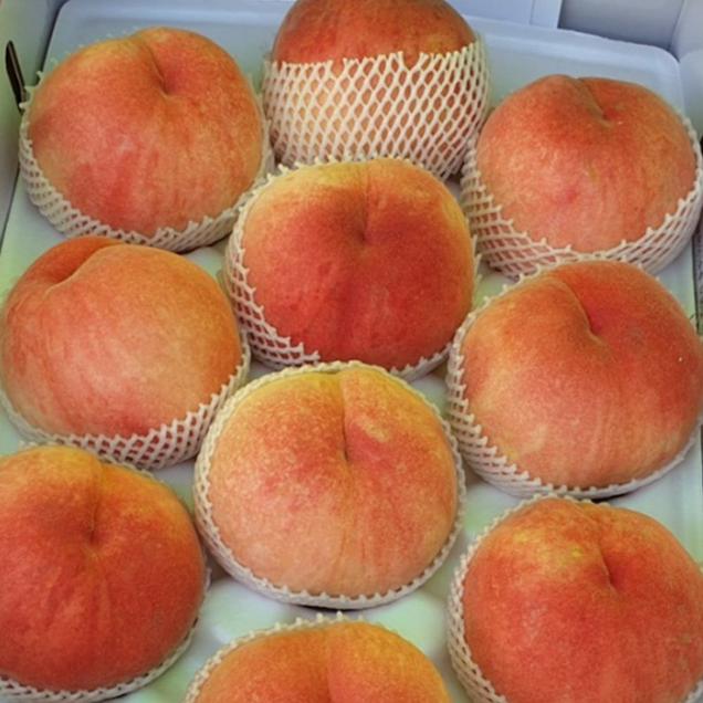 (그린스마일) 순천 과즙 가득 백도 복숭아 4kg 제철 과일 보민 4225