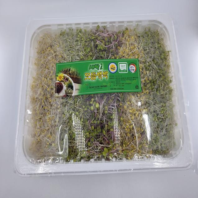 (호남권물류센터)모듬새싹/500g7561