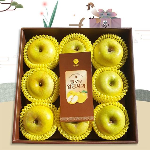 (상큼애) 황금사과 시나노골드 선물세트 3kg/5kg7938