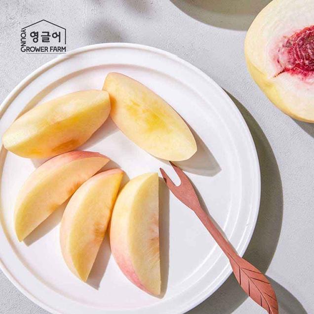 (영글어농장) 못난이 설아복숭아 1.2kg/1.7kg/2kg6718