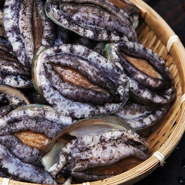 (남해바다수산) 완도활전복 18-20미 1kg / 小전복(실속형,삼계탕용,장조림용)3259