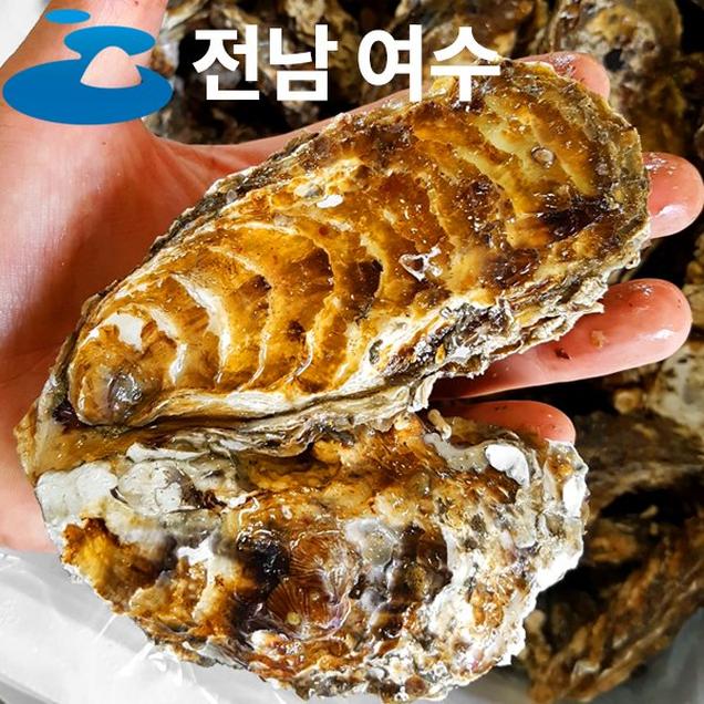 (산들다온)제철 여수 석화굴 20kg 15kg 10kg 5kg 3kg / 생굴 굴 석굴8691