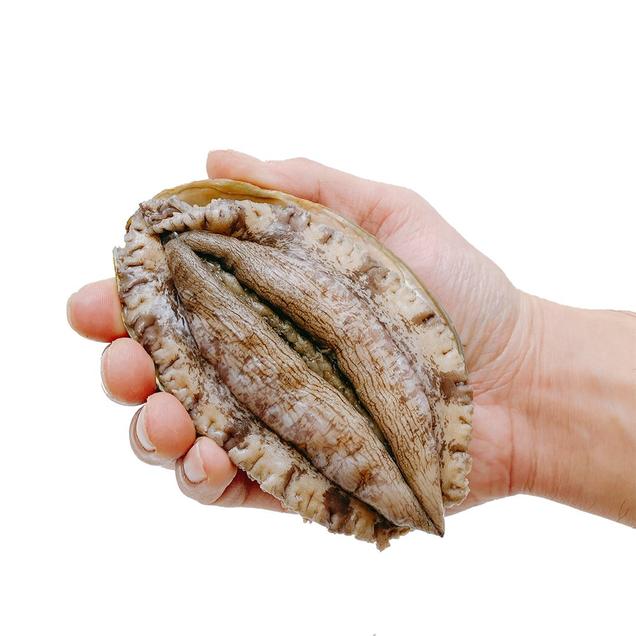 https://obj-g-1.ktcloud.com/image/thumb/00221425_thumb_003.jpg