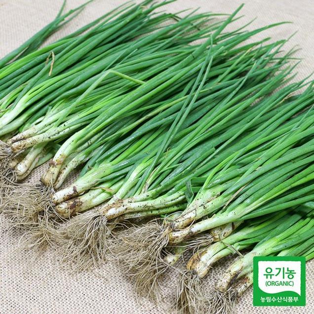 (한마음공동체)전라도 친환경 흙쪽파 1kg_24년산 예약(1단)12680
