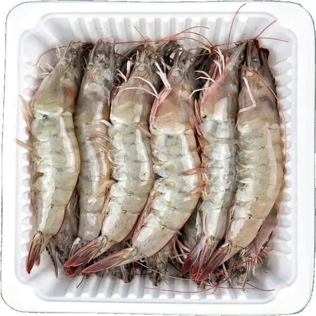 (범안수산)국내산 해감새우8170