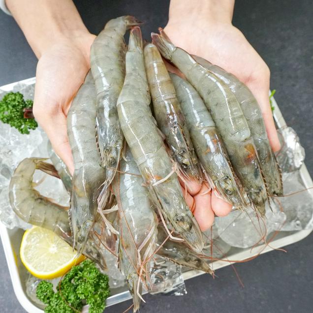 (더파시) 신선급냉 국내산 흰다리새우 1kg6934