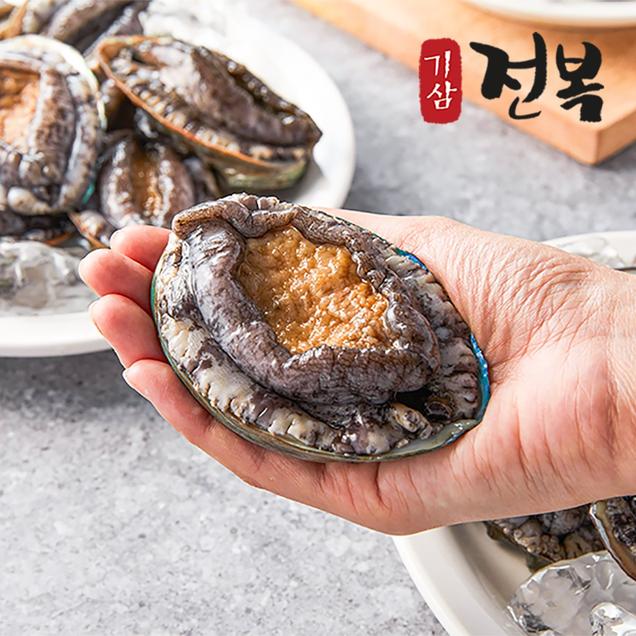 (기삼전복) 내일도착 6-8미 특특대 1kg / 신선특허, 산지직송1719