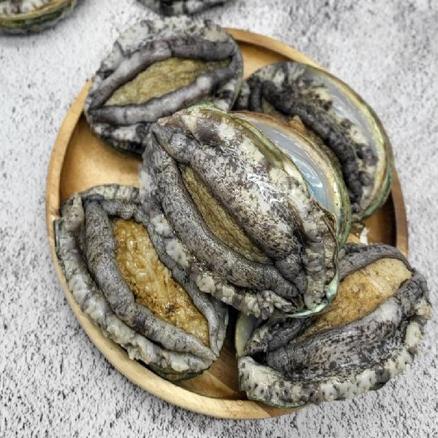 (가람) 완도산 대전복 선물세트 9-11미 1kg+손질솔7624