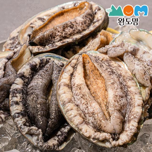 (완도맘) 완도 활 전복 13-15미 1kg 중전복 당일조업 산지직송 (선물포장가능)8293
