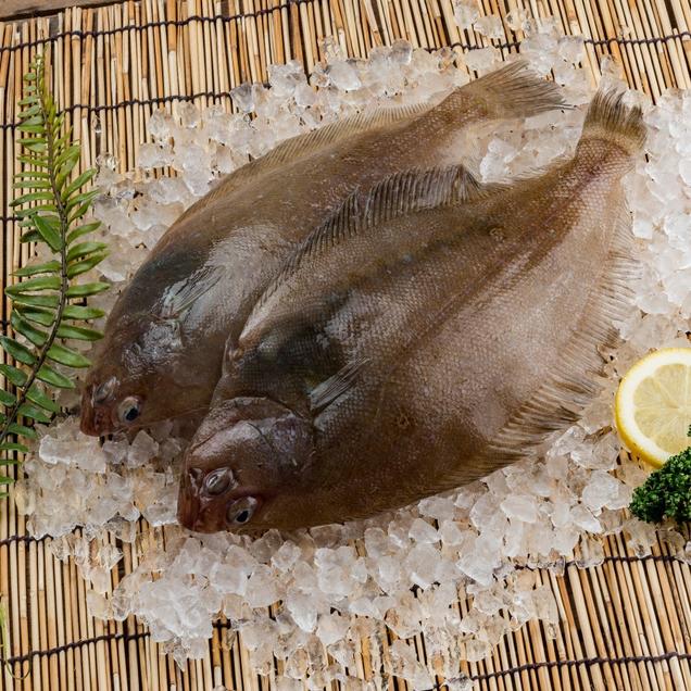 (다산수산) 특별할인가 국산 반건조참가자미 소소사이즈 1kg ( 7마리,개별포장,160g미만)8429