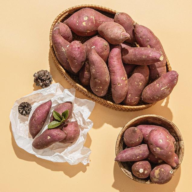 (강성푸드) 달달하고 촉촉한 베니하루카 해남 꿀 고구마 3kg 한입 외 (비세척)8457