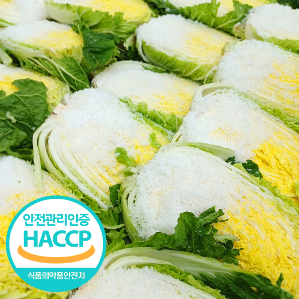 (산들다온) HACCP 인증 땅끝해남 절임배추 10kg / 직접재배하고 절인배추9675