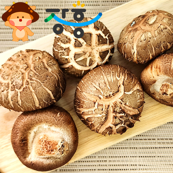 (산들다온) 산지직송 장흥 표고버섯 특품 못난이 1kg 500g / 가정용 버섯 참나무버섯9680