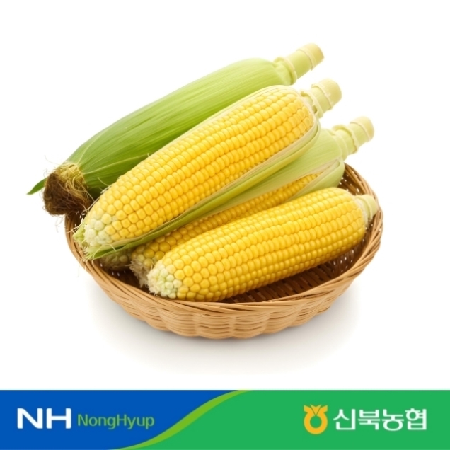 [신북농협 Peak!] 영암 초당 옥수수 ※5월 20일 순차배송※10098