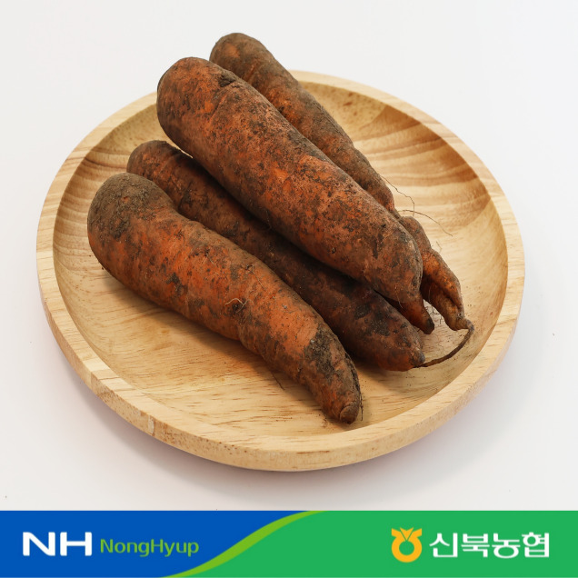 [신북농협 Pick!] 흙당근/세척당근 (2kg/3kg/5kg)10432