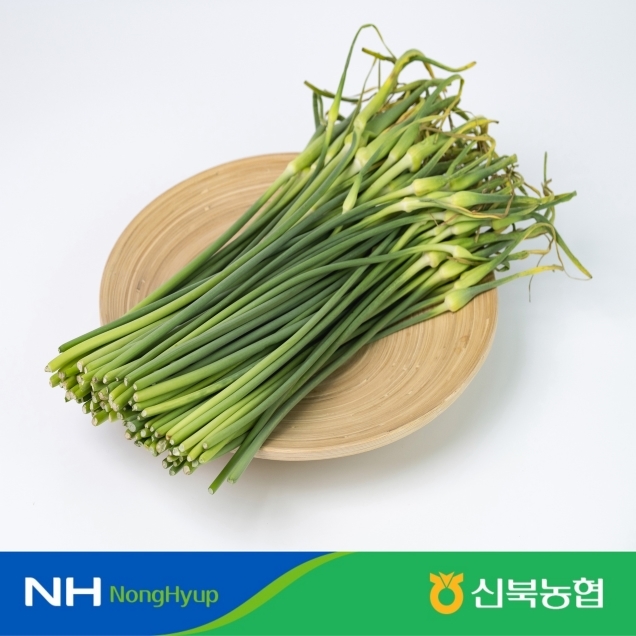 [신북농협 Pick!] 제철 햇 마늘쫑 (500g내외/1kg내외/2kg내외)10434