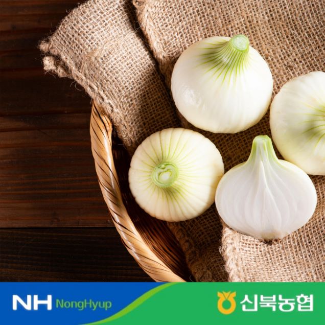 [신북농협 Pick!] 조생 햇 양파 3kg/5kg (소,중/대)10439