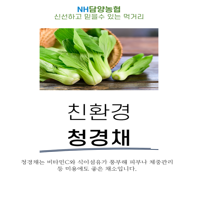 (담양농협)친환경 청경채 300g10493