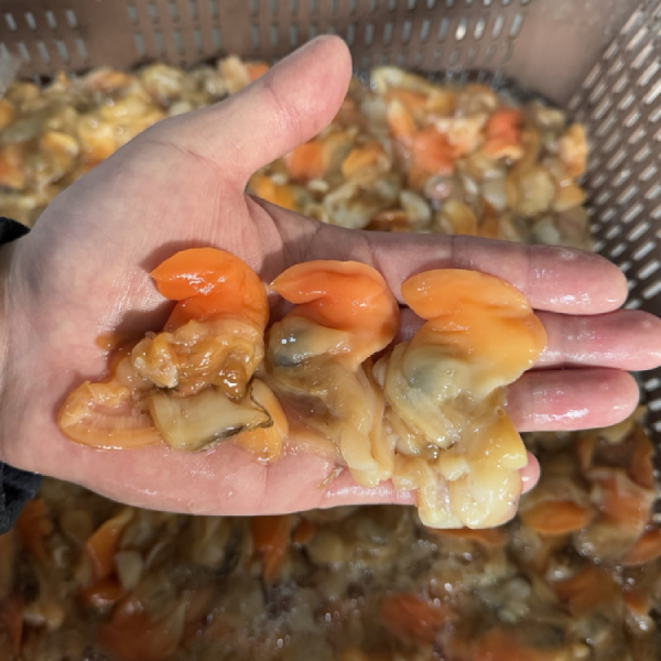 (올바른푸드) 국내산 제철 손질 급냉 갈미 조개살 400g 샤브샤브 명주 조개10510