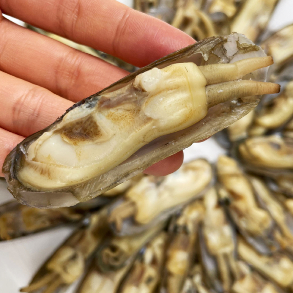 (올바른푸드) 국내산 가리 맛조개 400g 급냉 조개탕 조개구이10511