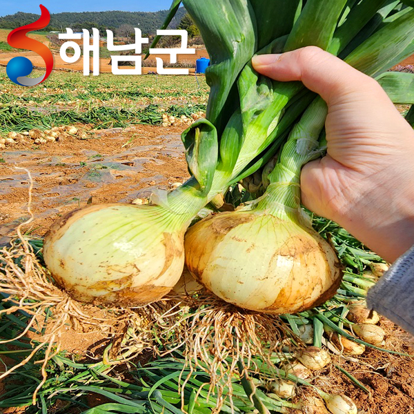 https://obj-g-1.ktcloud.com/product/12176_PRODUCT_e8549cf2-a605-4bdd-9995-83d20897374e