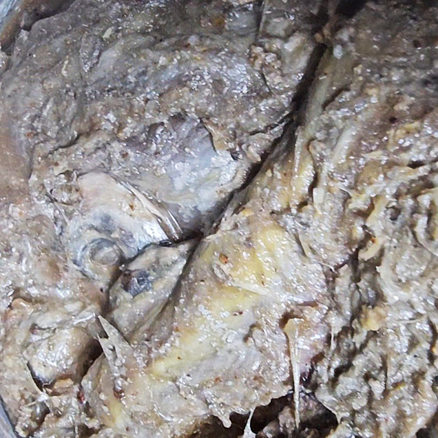 [로컬상품관] (완도수산) 갈치젓갈 5kg10959