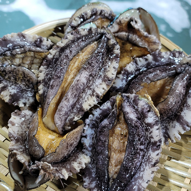 [로컬상품관] (천지가전복)[할인행사] 완도천지가전복10-11미 2KG(20~22마리내외)11096