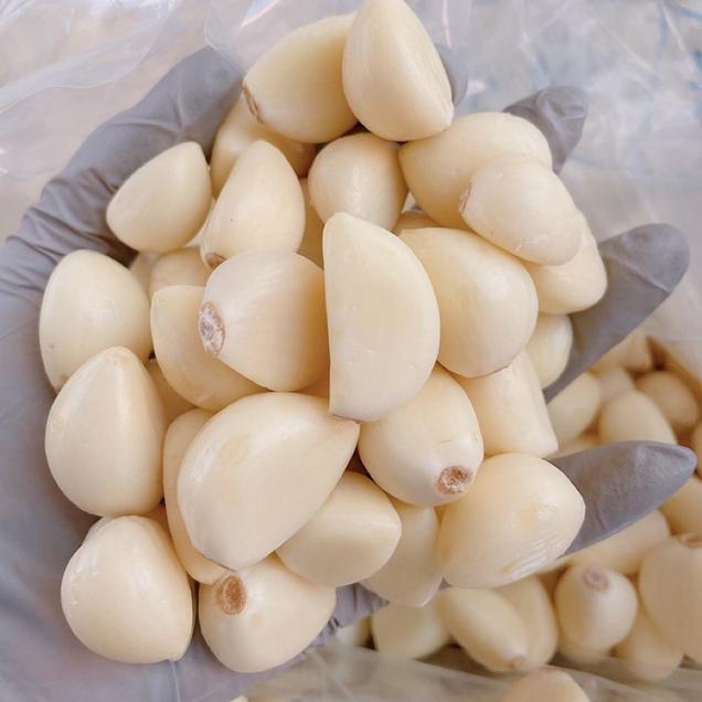 [로컬상품관] (오직건강마늘) 건강한 국내산 깐마늘 1kg (대사이즈)11150