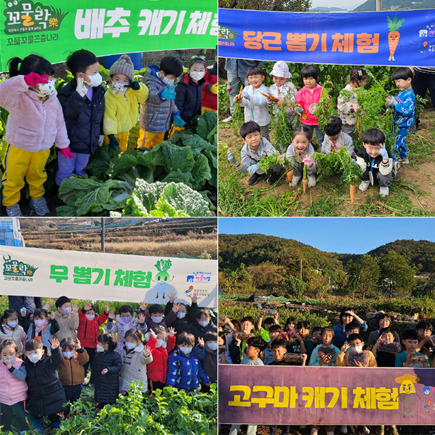 [체험티켓] (꼬물락농장) 꼬물락농장 체험 3종 (여수)11403