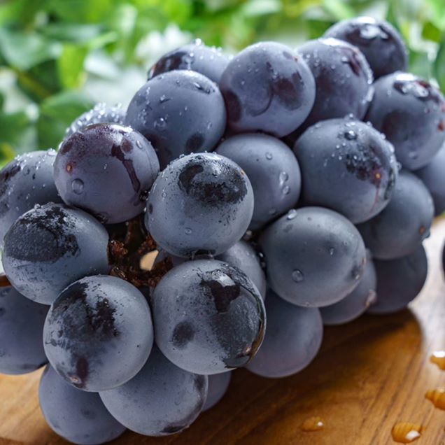 (베리굿스) 거봉 포도 특품 2kg11467