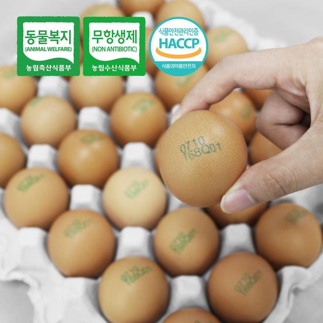 [2025추석] (더디오) 난각번호 1번 자연방사 무항생제 동물복지유정란11817