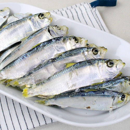 [2025추석](완도바다해맑은) 프리미엄 육수용 디포리 벌크1.5kg(벤뎅이)11885