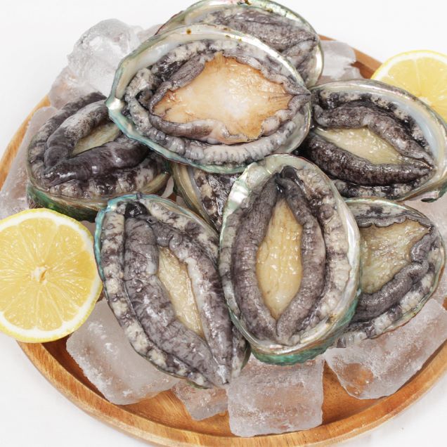 (강진농수산물쇼핑몰센터) 완도 전복 1kg 10미12673