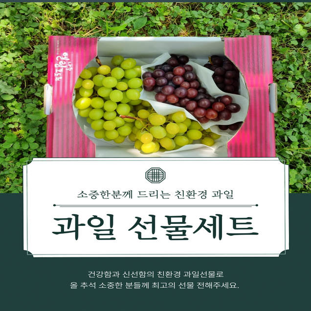 (호남권물류센터)유럽종색깔포도 2kg12791
