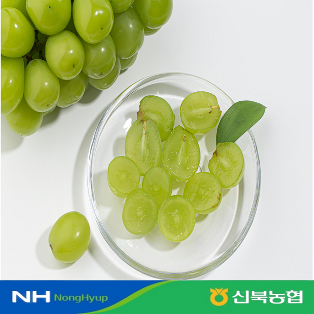 [신북농협 Peak!] 영암 고당도 샤인머스켓 2kg, 4kg12948