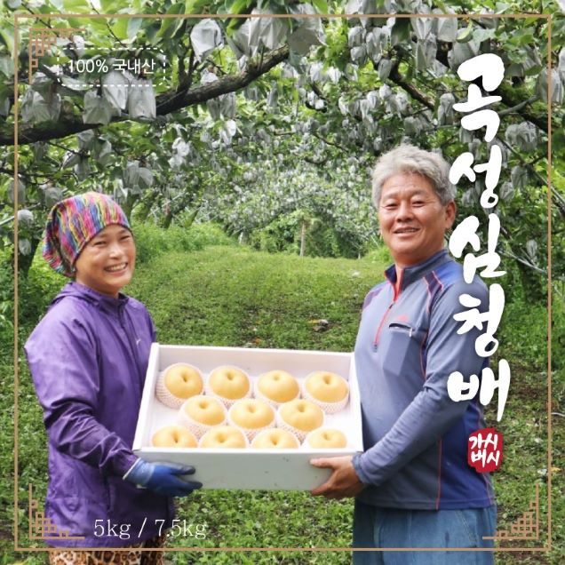 (가시버시농원) 부부의 정성으로 키운 배다음 5kg/7.5kg13130