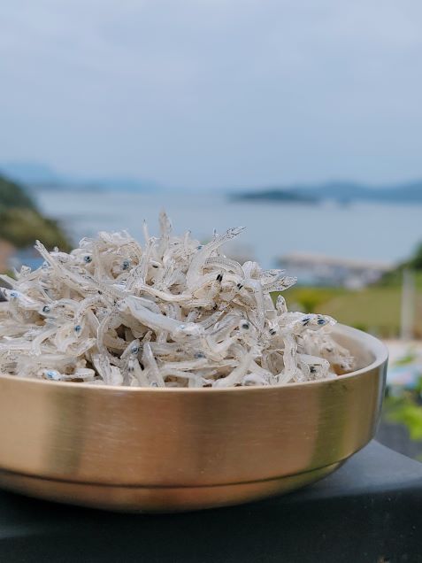 (땅끝어부) 특상품 햇지리멸치 선물세트 (750g/1.5kg)13234