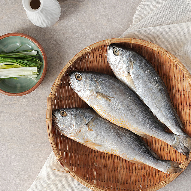 (전남생산자협동조합) 25년 어획 국내산 참조기 1kg&2kg13303