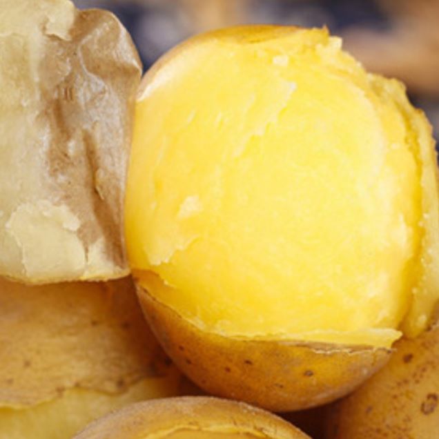 [aT농할](농할 할인)(베리굿스) 25년 햇감자(3kg 5kg 대/특/왕특)13460