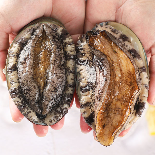 [온판지] (더파시) 완도 활 전복(대) 1kg 8-9미13646