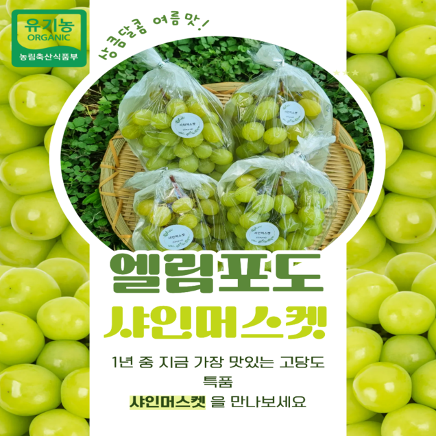 (담양농협) 유기농 샤인머스켓 2KG13664