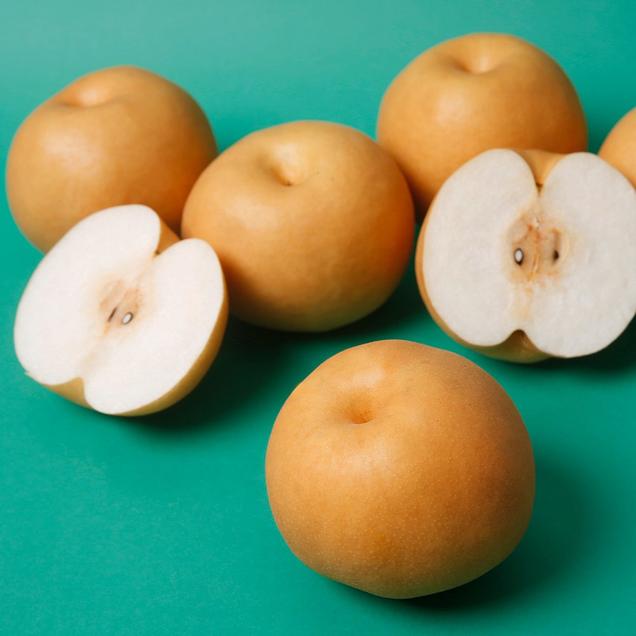 (농할 할인)(과일꾼)산지직송 25년 햇배 나주배 가정용(3kg/5kg)13942